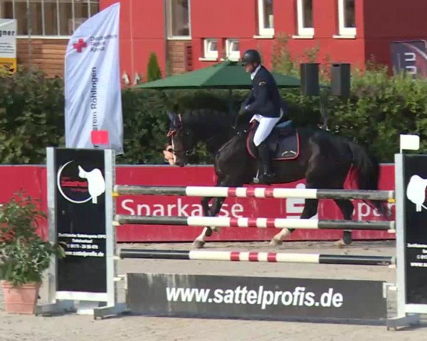 HORSE classics Killingen 2016
