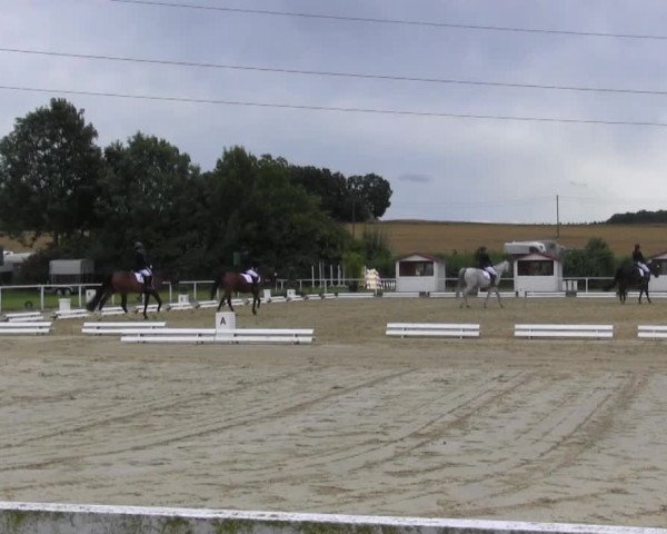 Reitturnier Menden 2016
