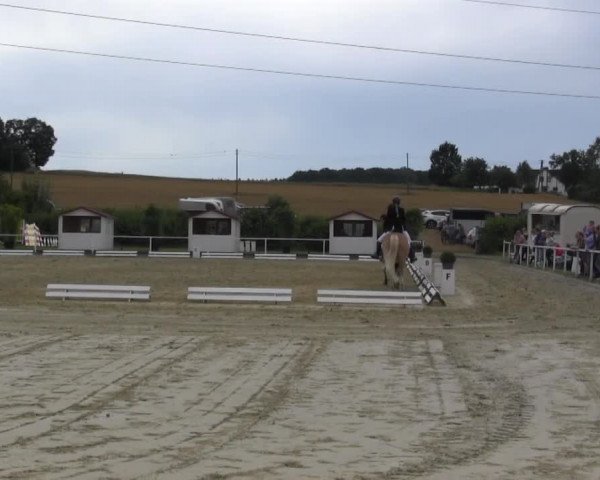 Reitturnier Menden 2016