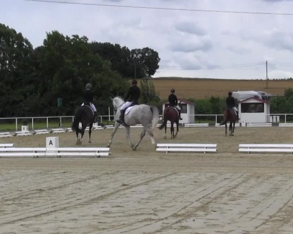 Reitturnier Menden 2016