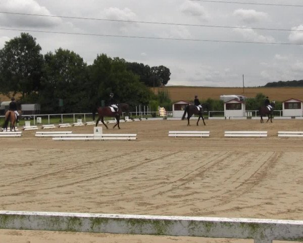 Reitturnier Menden 2016