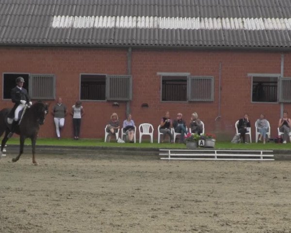 Reitturnier Datteln 2016