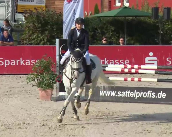 HORSE classics Killingen 2016