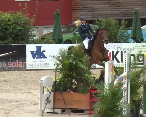 HORSE classics Killingen 2016