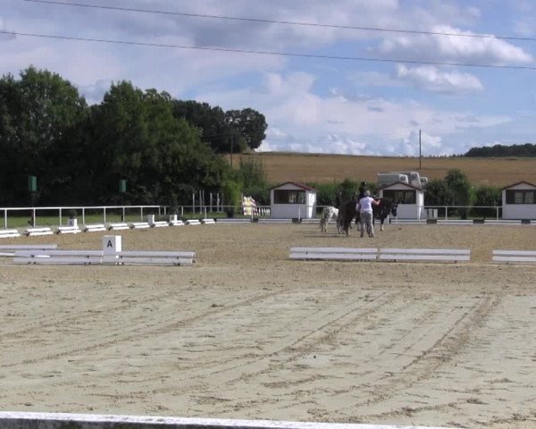 Reitturnier Menden 2016