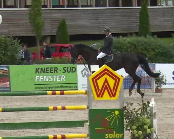 HORSE classics Killingen 2016