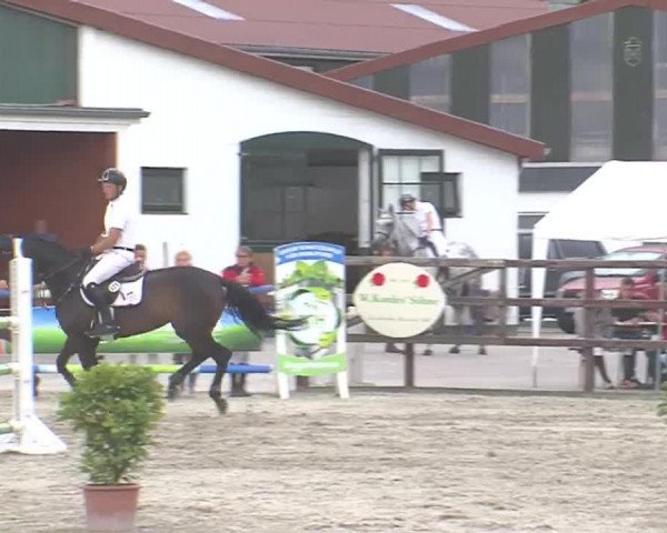 Reitturnier HH-Klein Offenseth/Hell-Stallion-Stud 2016