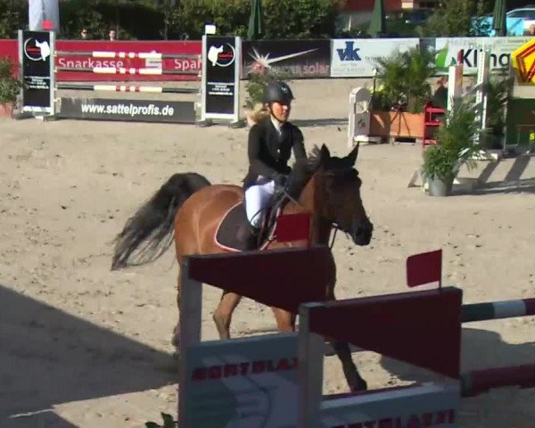 HORSE classics Killingen 2016
