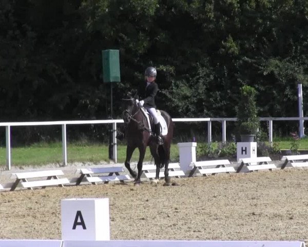 Reitturnier Menden 2016