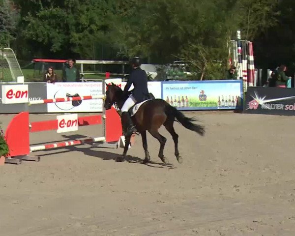 HORSE classics Killingen 2016