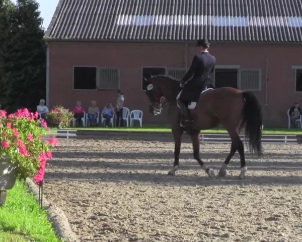 Reitturnier Datteln 2016