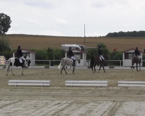 Reitturnier Menden 2016
