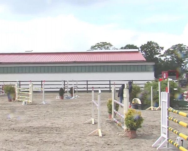 Reitturnier HH-Klein Offenseth/Hell-Stallion-Stud 2016