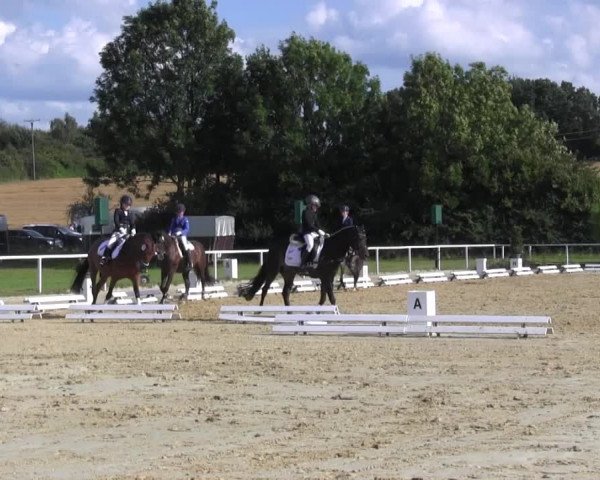 Reitturnier Menden 2016