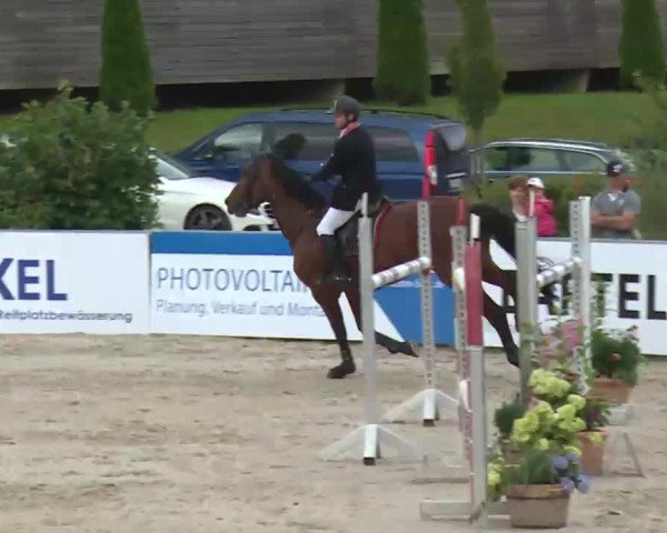 HORSE classics Killingen 2016