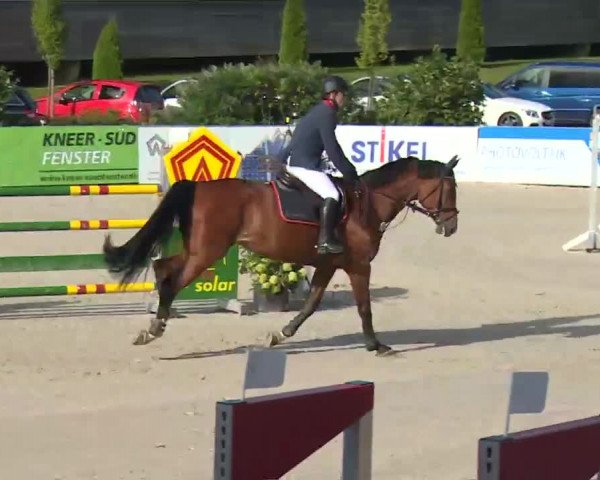 HORSE classics Killingen 2016