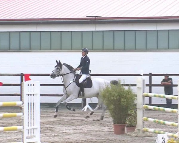 Reitturnier HH-Klein Offenseth/Hell-Stallion-Stud 2016