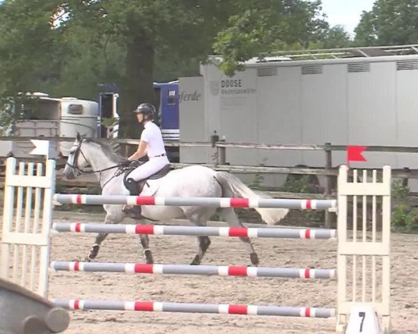 Reitturnier HH-Klein Offenseth/Hell-Stallion-Stud 2016