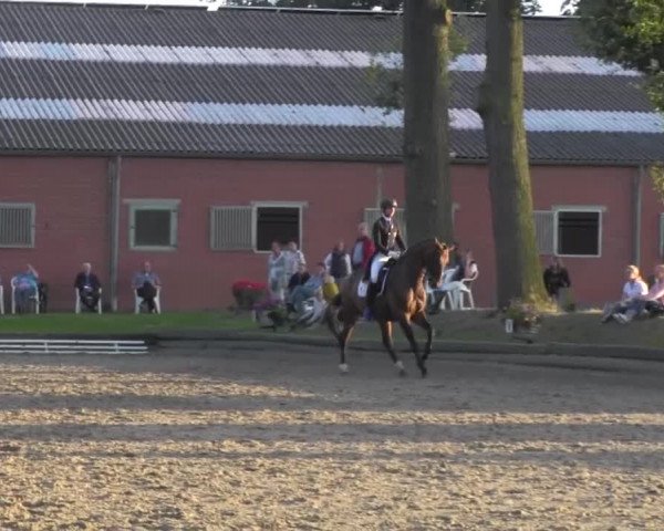Reitturnier Datteln 2016