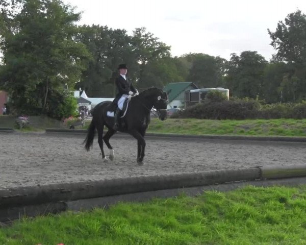 Reitturnier Datteln 2016