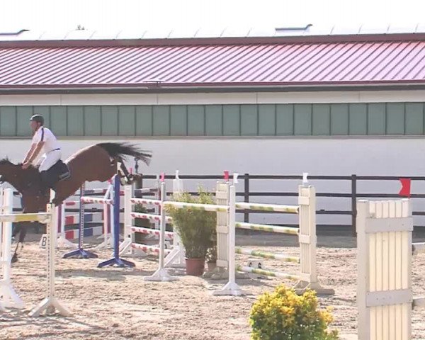 Reitturnier HH-Klein Offenseth/Hell-Stallion-Stud 2016