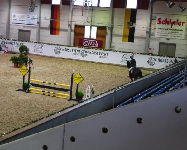 Christmas Jumping Trophy Prussendorf 2021