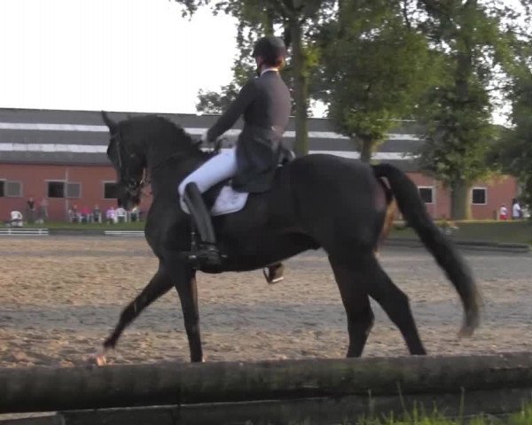 Reitturnier Datteln 2016