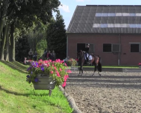 Reitturnier Datteln 2016