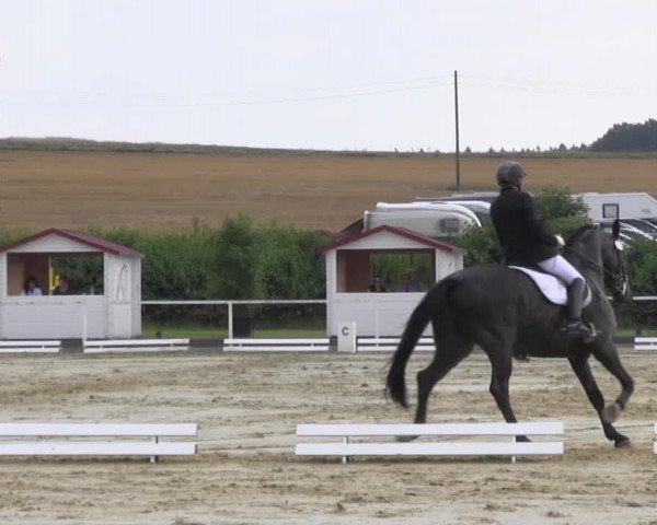 Reitturnier Menden 2016