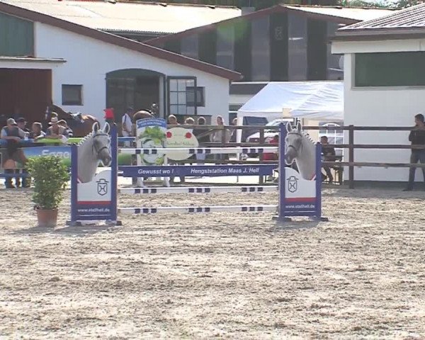 Reitturnier HH-Klein Offenseth/Hell-Stallion-Stud 2016