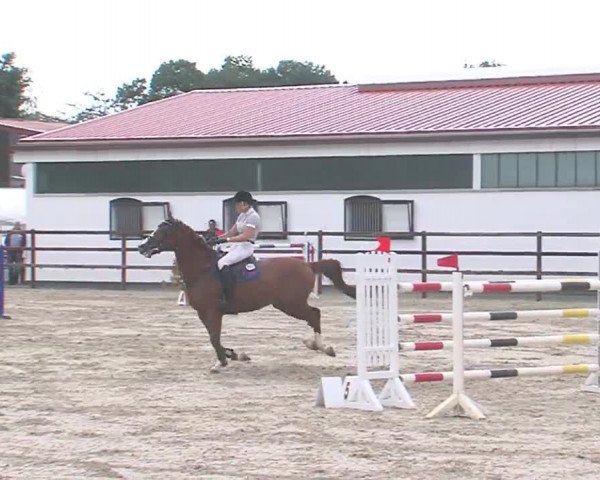 Reitturnier HH-Klein Offenseth/Hell-Stallion-Stud 2016