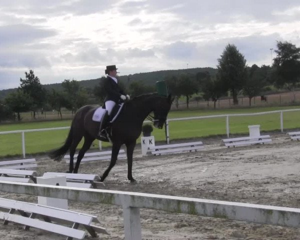 Reitturnier Menden 2016