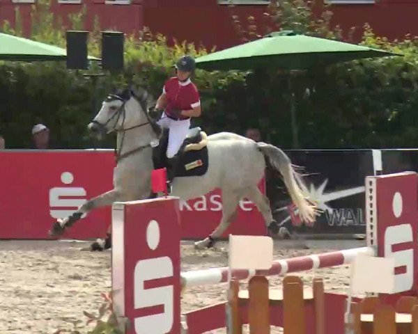 HORSE classics Killingen 2016