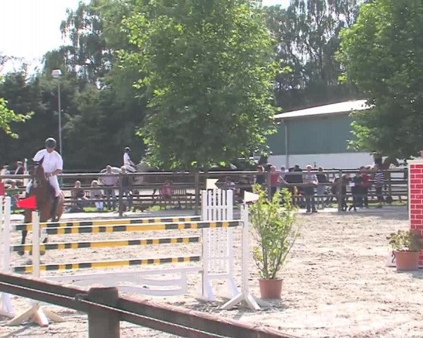 Reitturnier HH-Klein Offenseth/Hell-Stallion-Stud 2016