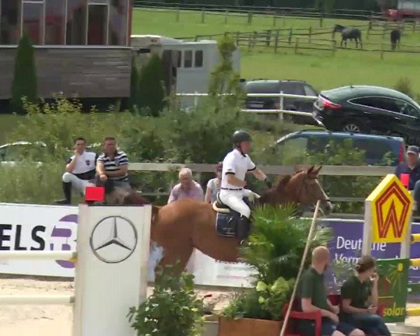 HORSE classics Killingen 2016