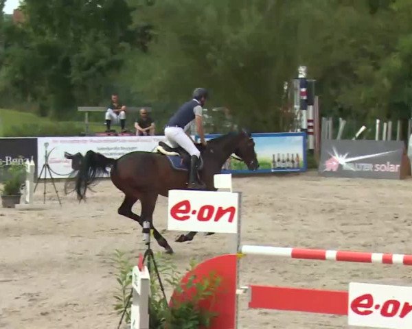 HORSE classics Killingen 2016