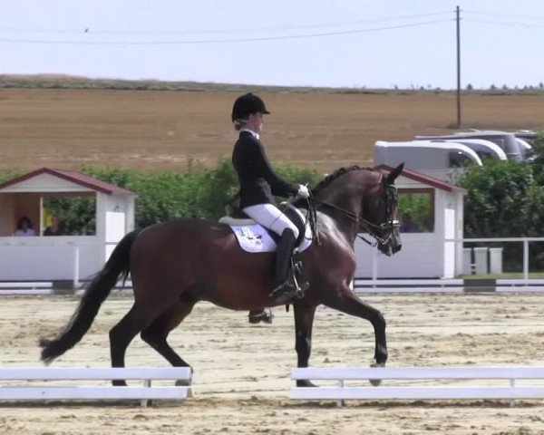 Reitturnier Menden 2016