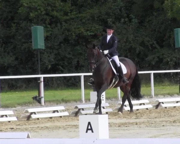 Reitturnier Menden 2016