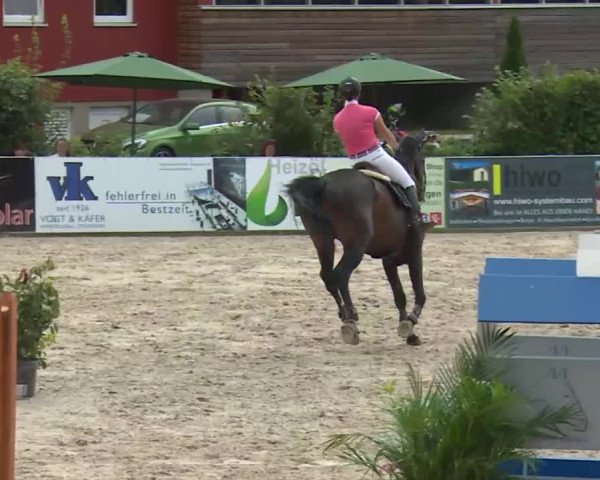 HORSE classics Killingen 2016