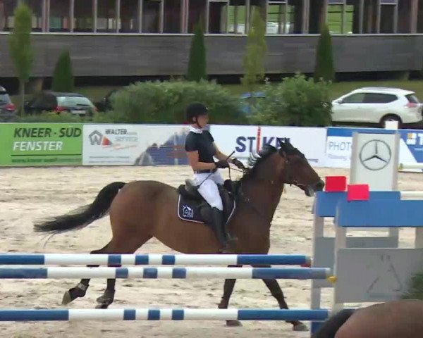 HORSE classics Killingen 2016