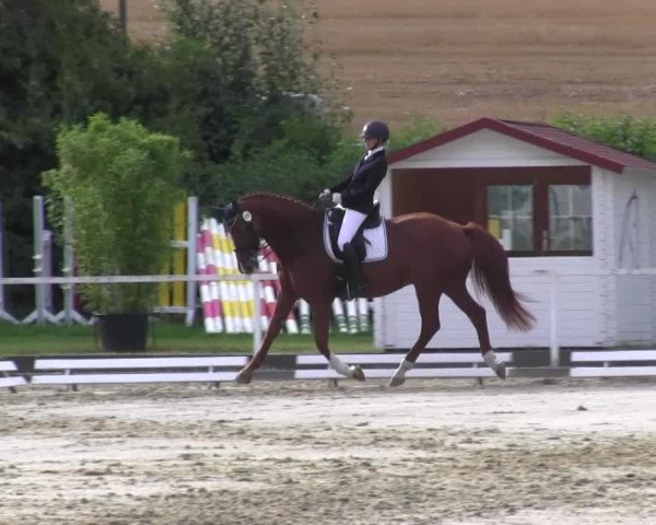 Reitturnier Menden 2016