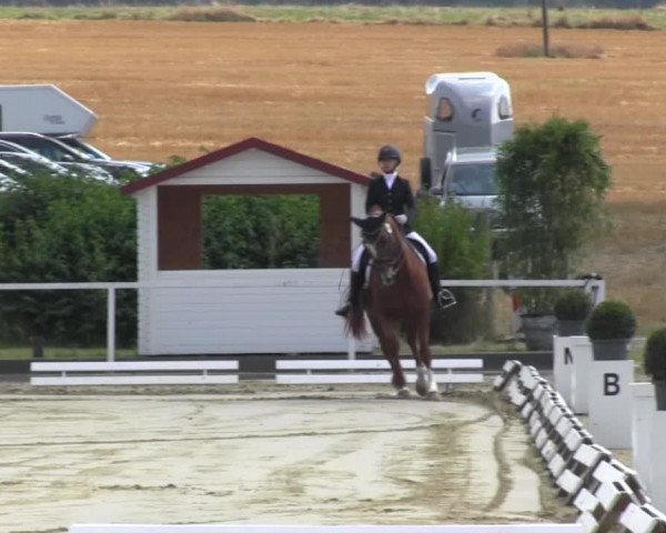 Reitturnier Menden 2016