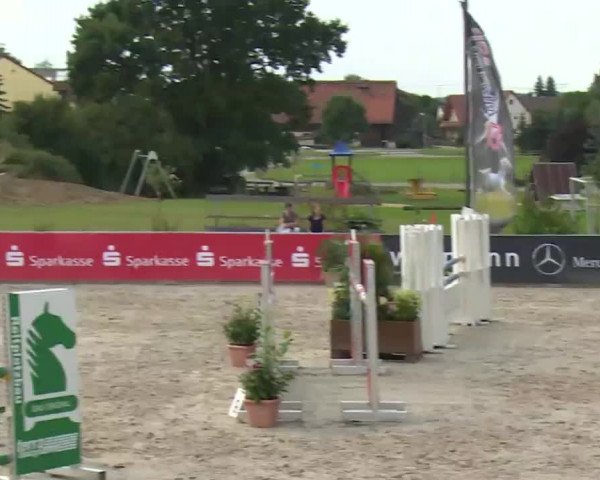 HORSE classics Killingen 2016