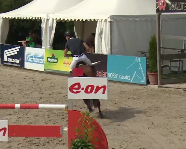 HORSE classics Killingen 2016