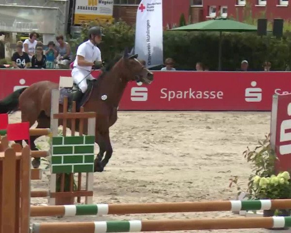 HORSE classics Killingen 2016