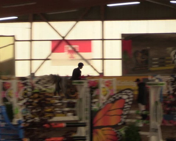Große Jumping-Trophy Pausin 2021