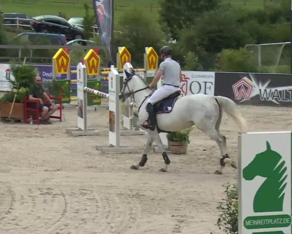 HORSE classics Killingen 2016