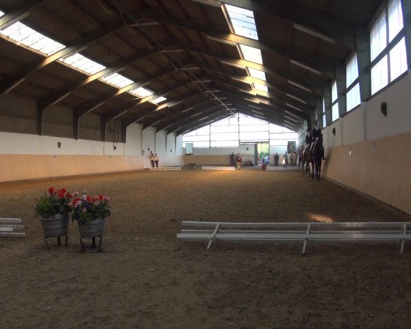 Reitturnier Datteln 2016