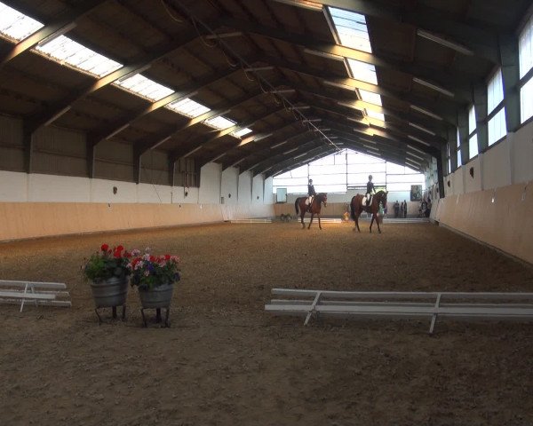Reitturnier Datteln 2016