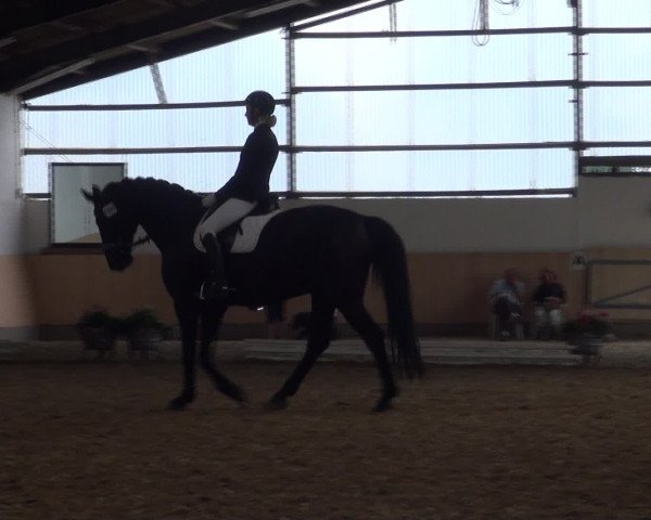 Reitturnier Datteln 2016